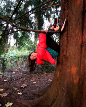 CK tree