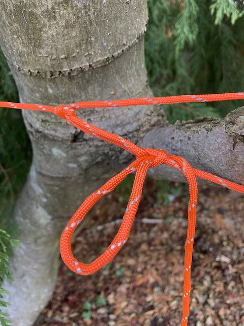 Knots 1