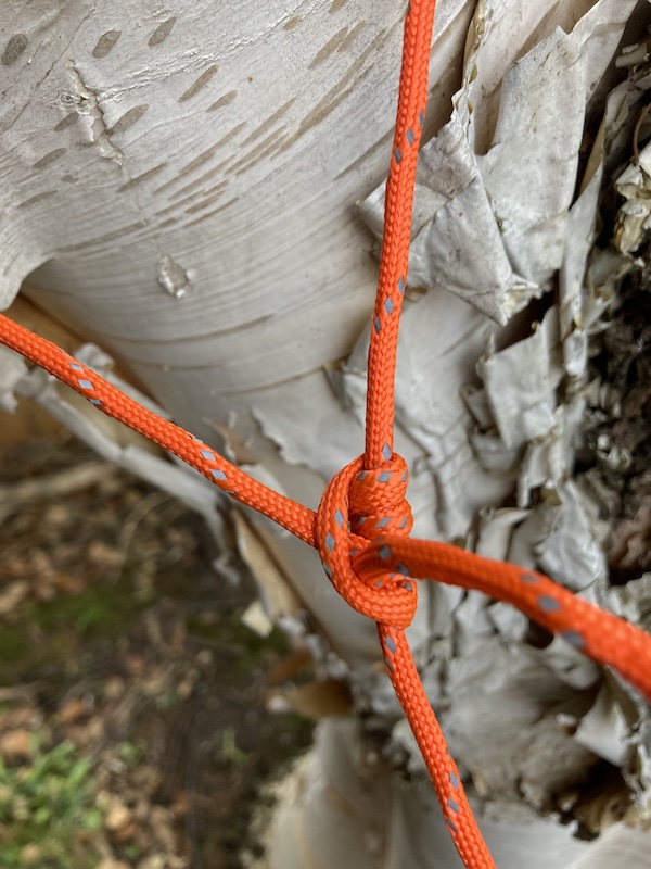 Knots 2